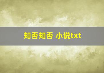 知否知否 小说txt